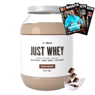 GYMBEAM JUST WHEY WPC WPI WPH ODŻYWKA BIAŁKOWA PREMIUM MASA MIĘŚNIOWA 1000g