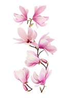 Naklejki na ścianę lustro meble kwiaty kwiatki kwiat samoprzylepna Magnolia