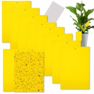 20x RAGASZTÓS CSAPDA RAGACSOS SÁRGA FÖLD ROVAROK GYÜMÖLCS CSOKORNYAKKENDŐ SZETT