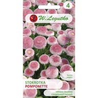 Stokrotka pospolita Pomponette różowa Legutko 0,1g