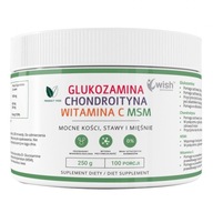 WISH Glukosamín Chondroitín Vit C MSM Vege 250g