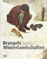 Bruegels Winterlandschaften (German Edition)