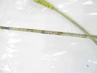 Gurte Band Seilzug Tür vorne przednich BMW e81 e82 e87 e88