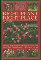 Right Plant Right Place: Choosing the Perfect