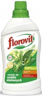 Florovit Nawóz płynny do roślin zielonych 1L