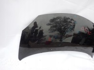 RENAULT TWINGO II 2 07- Cofano