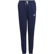 Detské nohavice adidas Entrada 22 Sweat Pants g