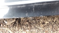 AUDI A3 8L kapota kufru OKNO SPOILER