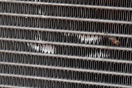 water cooler RENAULT MEGANE 3 III 1.5 DCI 85 KM 08-14