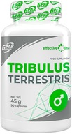 6PAK TRIBULUS TERRESTRIS 90KAPS TESTOSTERON LIBIDO