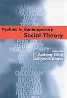 Profiles in Contemporary Social Theory group work