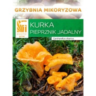 Grzybnia Pieprznik jadalny Kurka Gąska 10g