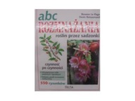 ABC rozmnażania roślin przez sadzonki
