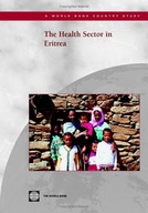 The Health Sector in Eritrea group work