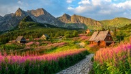 Obraz na płótnie Tatry Polska Zakopane widok krajobraz na ścianę 100x70