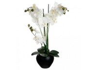 Umelá orchidea v čiernom kvetináči, biela orchidea, vyššie. 53 cm