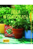 Zioła w doniczkach Engelbert Kötter aromatyczny ogródek poradnik kuchnia