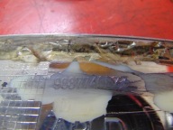 CITROEN DS3 MOULAGE COUVERTURE AILE DROIT ARRIÈRE