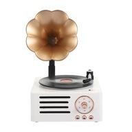 Gramofon gramofonowy Bluetooth 5.0 z miedzianą tubą w kolorze klasycznej bieli