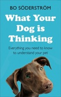 What Your Dog Is Thinking: Everything you need to