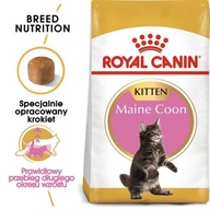 Royal Canin Maine Coon Kitten karma sucha dla kociąt, do 15 miesiąca, rasy