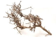 Naturalny Korzeń Drift Branch Bonsai do Akwarium Terrarium 33x18x14cm B2