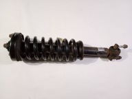 shock absorber front front left right Ford F150 F-150 2015r