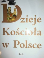 Dzieje Kościoła w Polsce - Praca zbiorowa