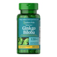 Puritan's Pride Ginkgo Biloba 120 mg 100 tabl.