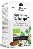 NÁDOR BREZY CHAGA BIO 60 KAPSÚL (470 mg) - DARY N