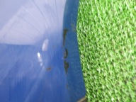 VW TOURAN e 03-10 Paraurti posteriore posteriore colore LL5M