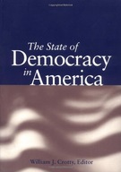 The State of Democracy in America group work