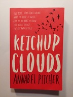 Ketchup Clouds Annabel Pitcher