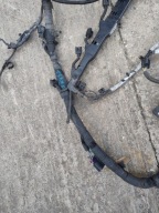 bundle of the engine Ford Transit MK8 2.2 107kw