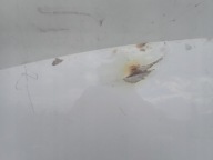 OPEL INSIGNIA A 08-17 bonnet