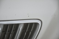 cofano Coperchio * Motore LEXUS RX300 RX e LIFT 1C0