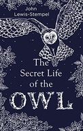 The Secret Life of the Owl: a beautifully