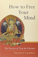 How to Free Your Mind: The Practice of Tara the