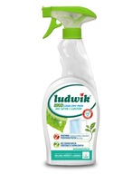 EKO PŁYN DO MYCIA SZYB I LUSTER 750 ML LUDWIK