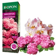 Mikoryza Szczepionka do Rododendronów Azali Borówki Wrzosów 250ml Biopon