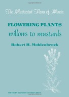 Flowering Plants: Willows to Mustards group work