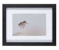 LIVARNO home Ramka na zdjęcie 17x22 cm czarna passpartu prostokątna ptak