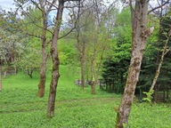 Działka, Odrzykoń, 900 m²