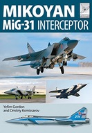 Flight Craft 8: Mikoyan MiG-31 Gordon Yefim