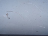 door right front DACIA DOKKER (R1)