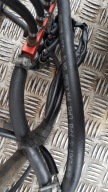 PRINS Câblage Gaz LPG 4CYL 67R-010098