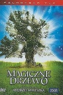 Film Magiczne drzewo płyta DVD