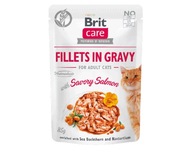 MOKRA KARMA DLA KOTA BRIT CARE CAT FILLETS IN GRAVY SAVORY SALMON POUCH 85g