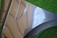 VW POLO 2G 17- fender left front front