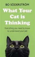 What Your Cat Is Thinking: Everything you need to